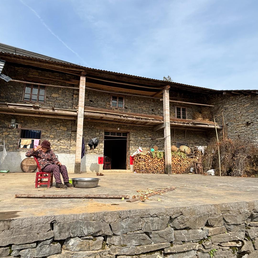 不吃折耳根的猪