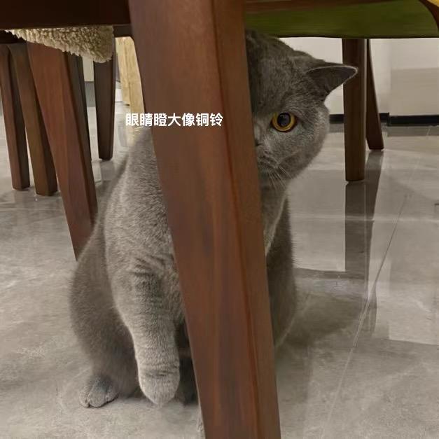 蜗等