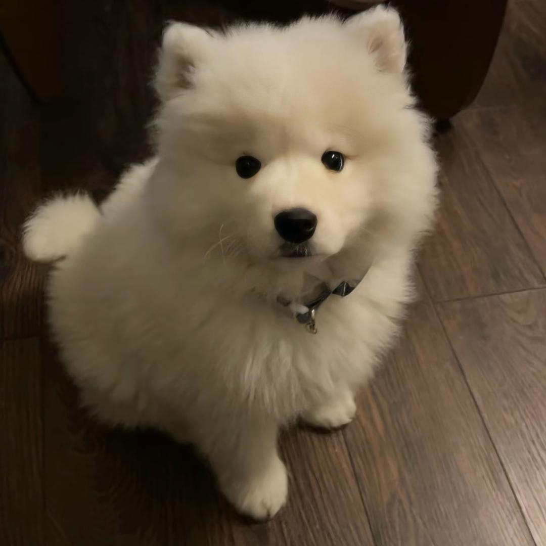 peanut.