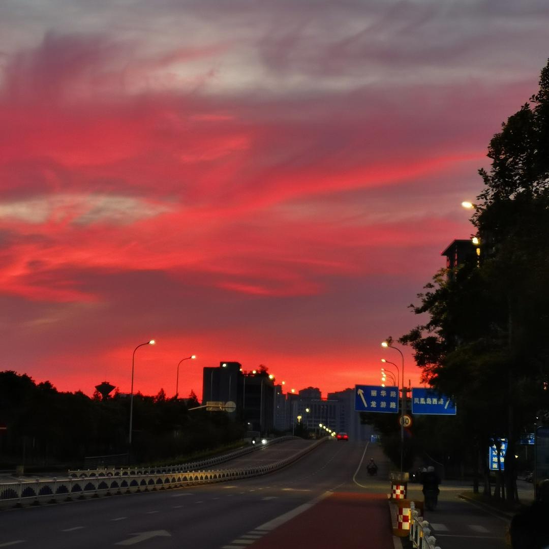 欲买桂花同载酒