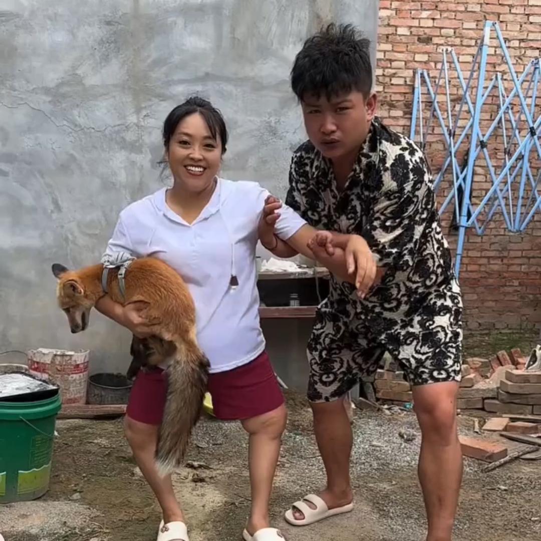小白和仙仙