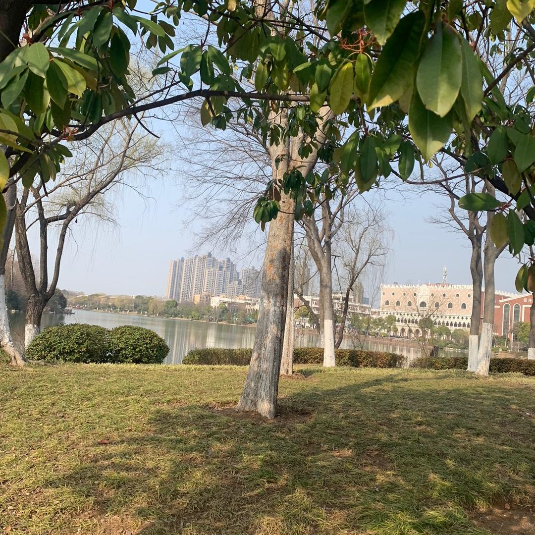小鱼儿