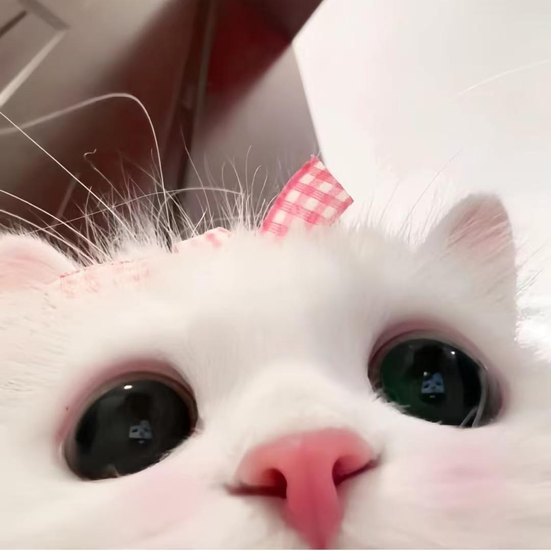谁有网站