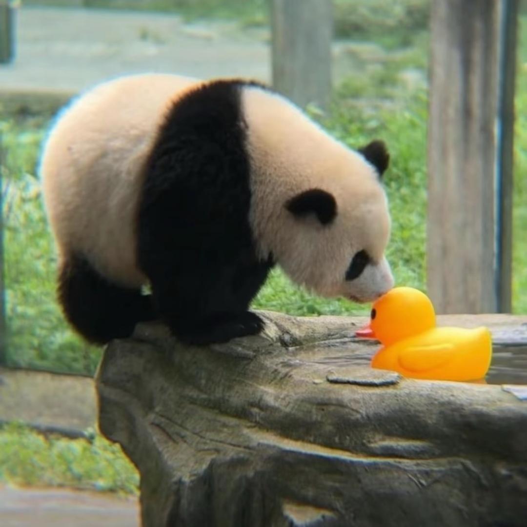 悠