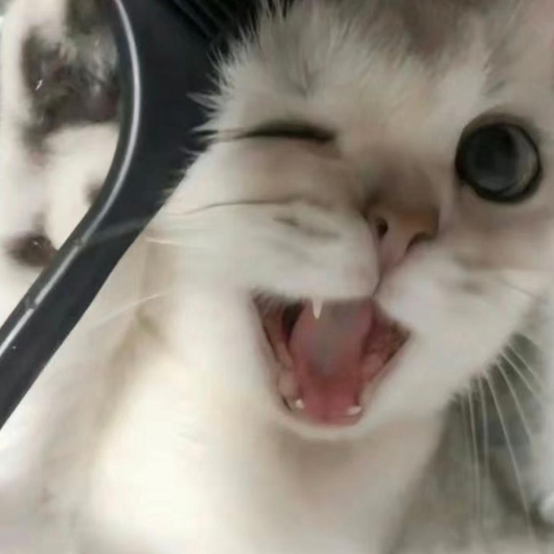 Ooo.