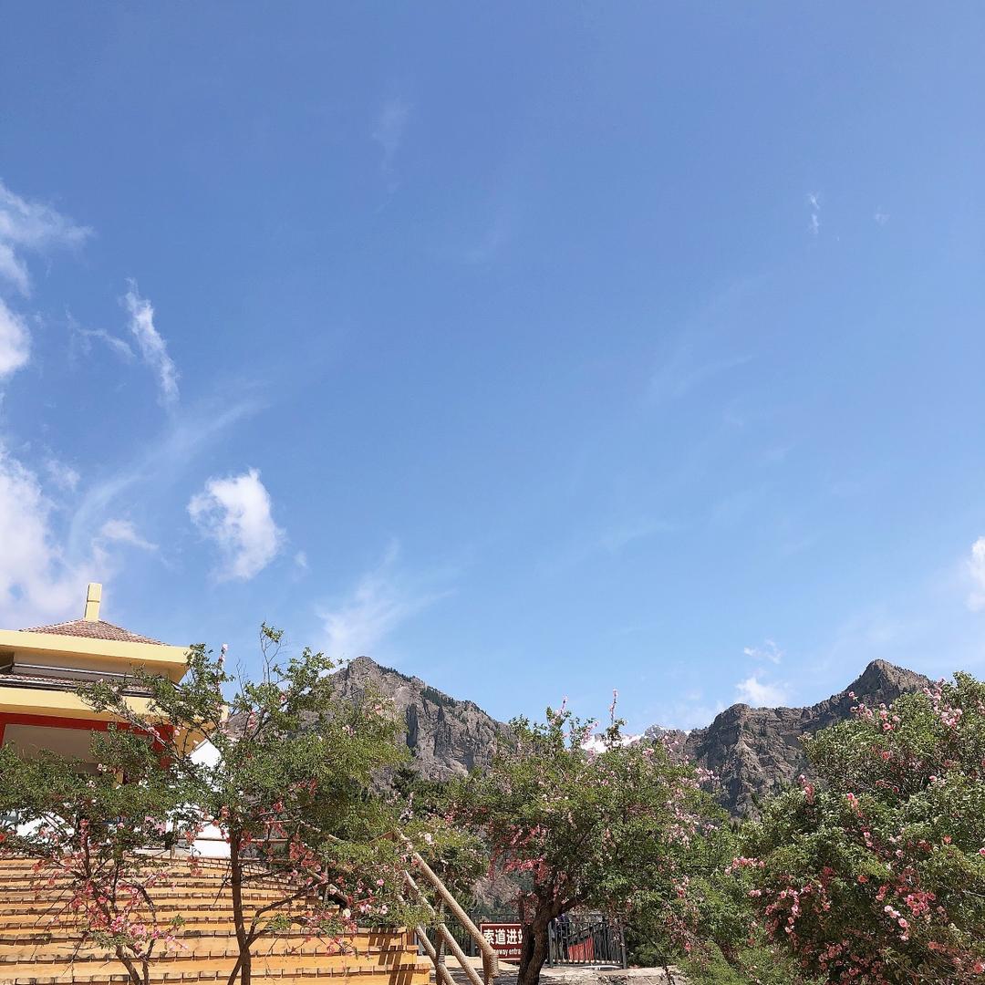 通用电器紫阳店（新新宾馆旁边南30米）