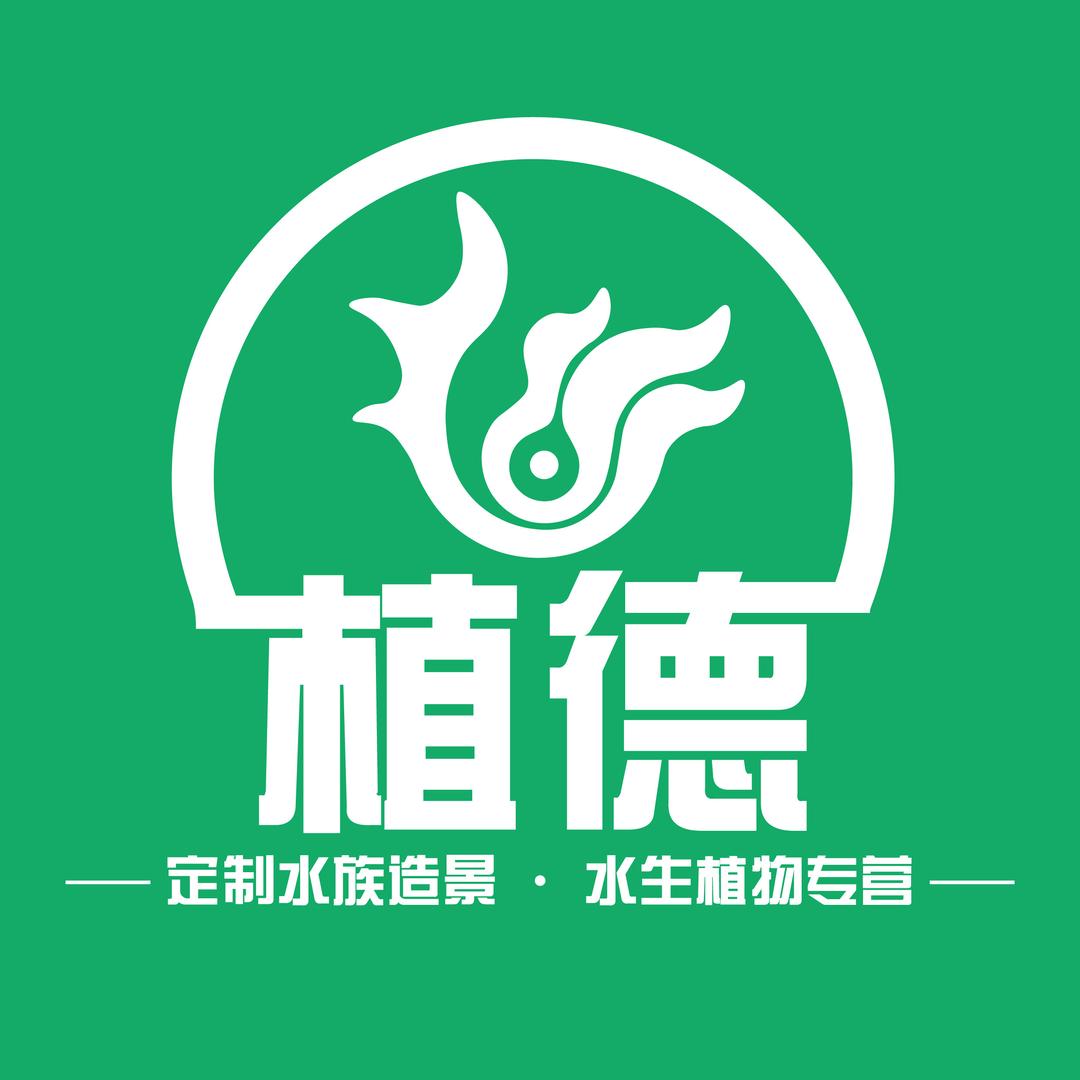 春来江水绿桌面景观