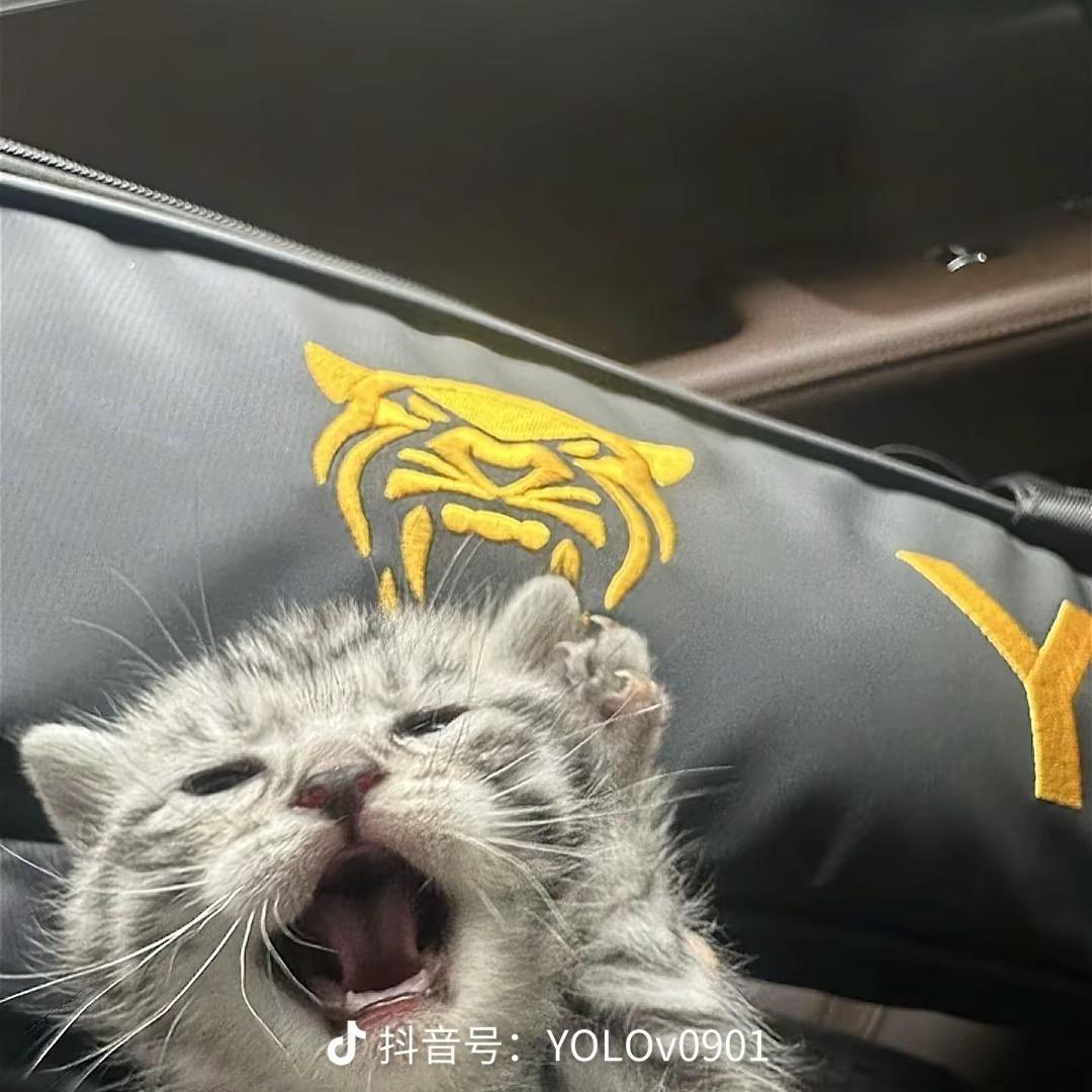 叫什么呢