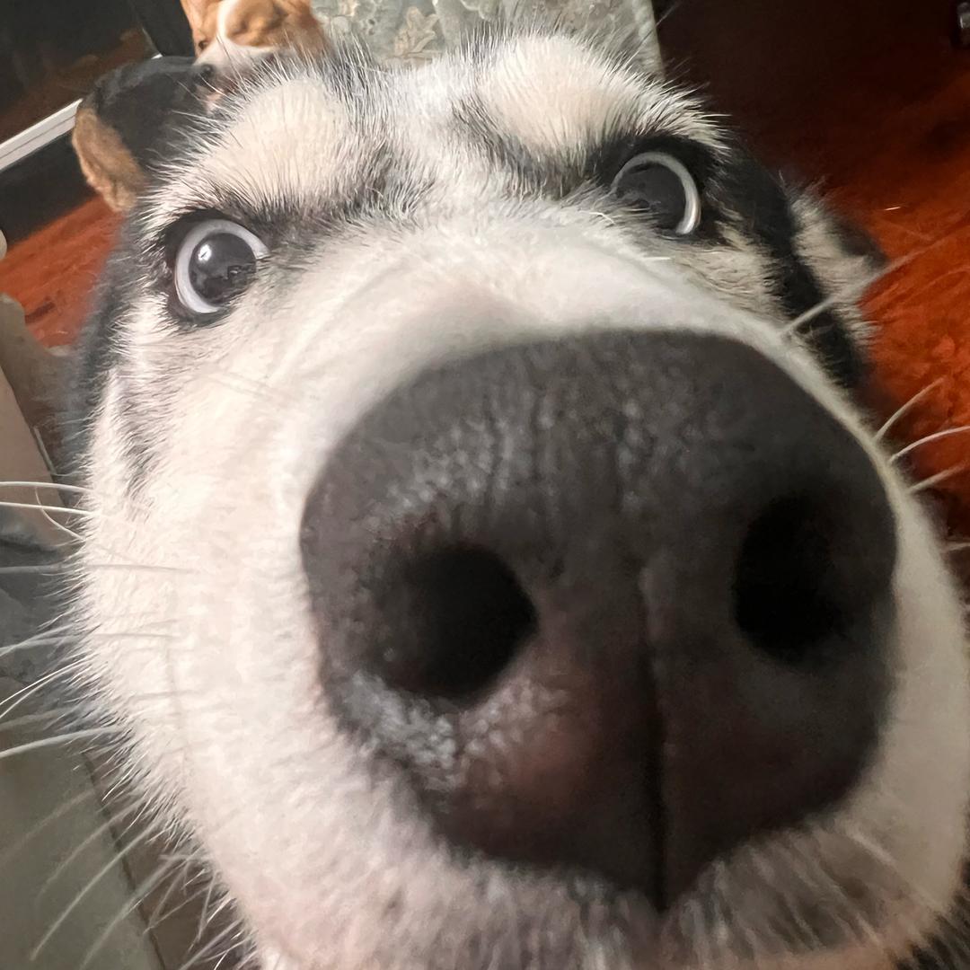 怀仁