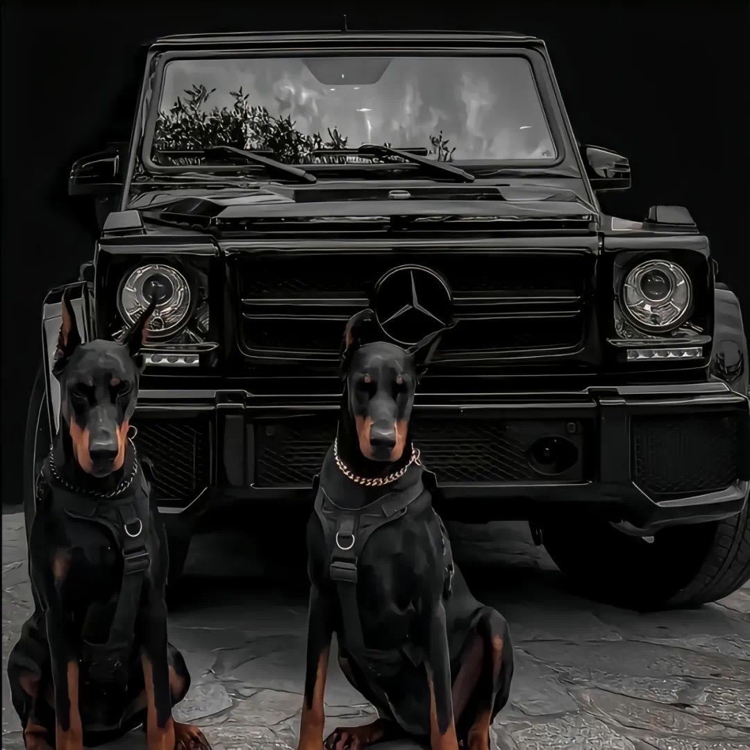 冬祺百货严选铺子