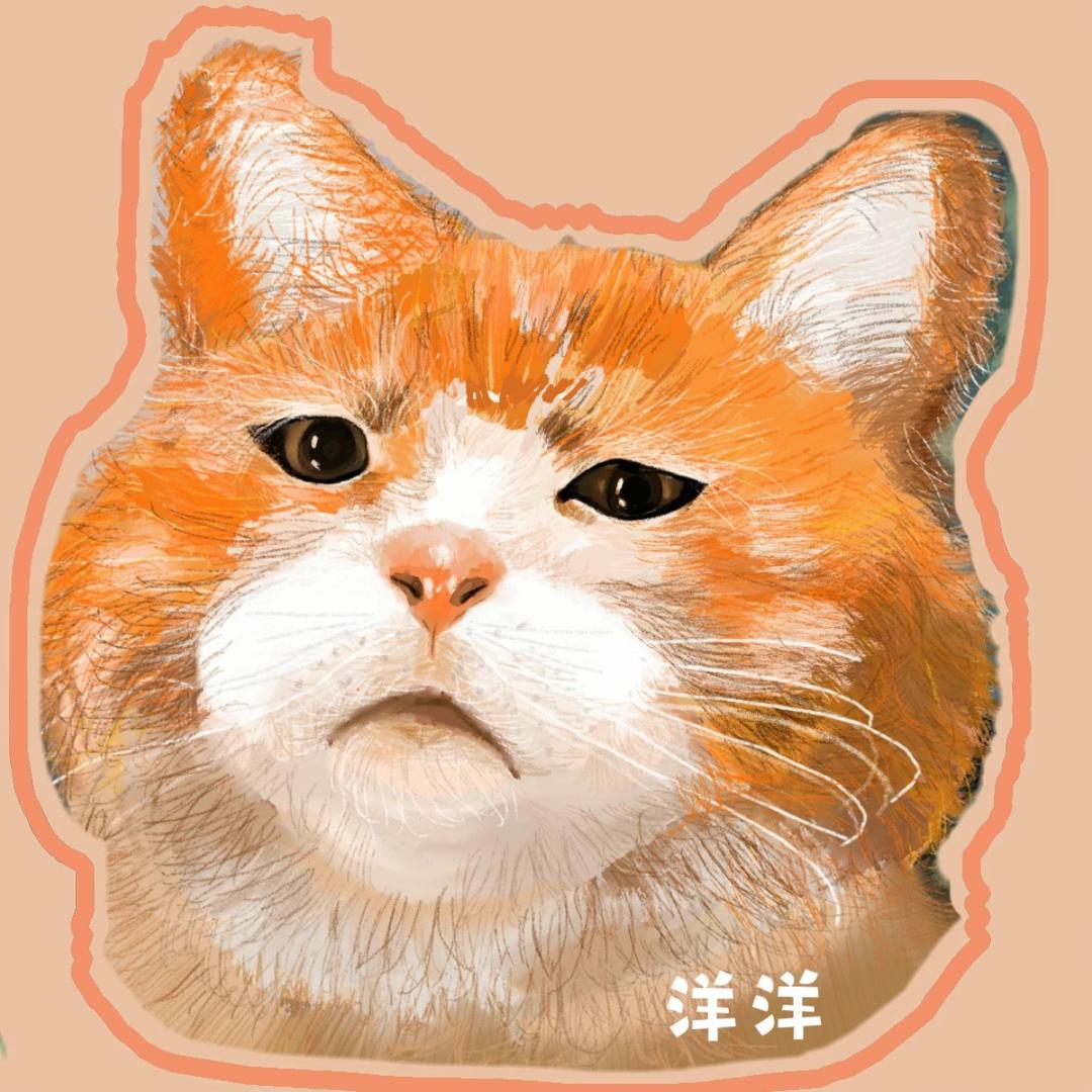 没时间当网红嗷