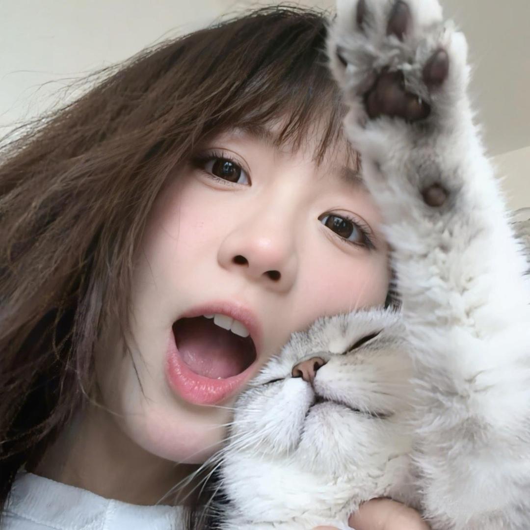 猫猫雨⛈️
