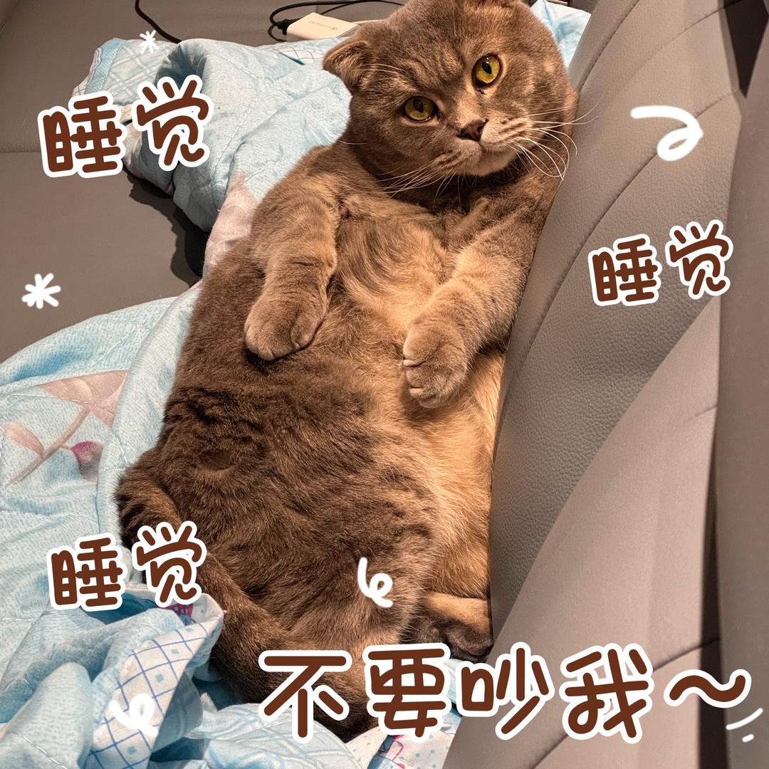钮钴禄牛和乌拉那拉氏雪糕