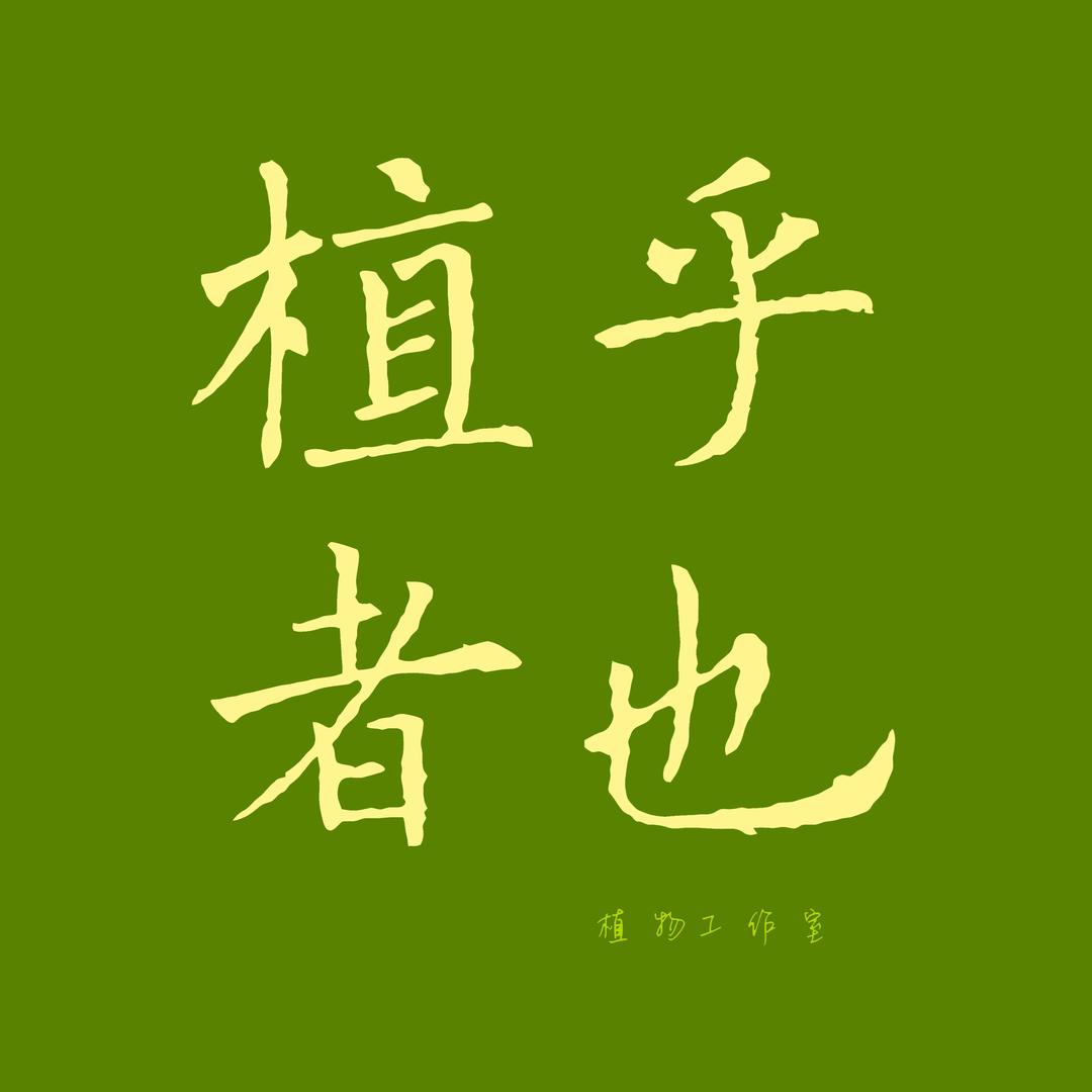 植乎者也