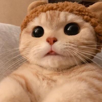 菠萝”