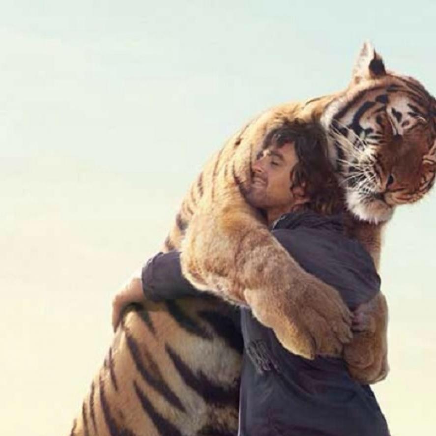 爱老虎呦🙆🏻‍♂️