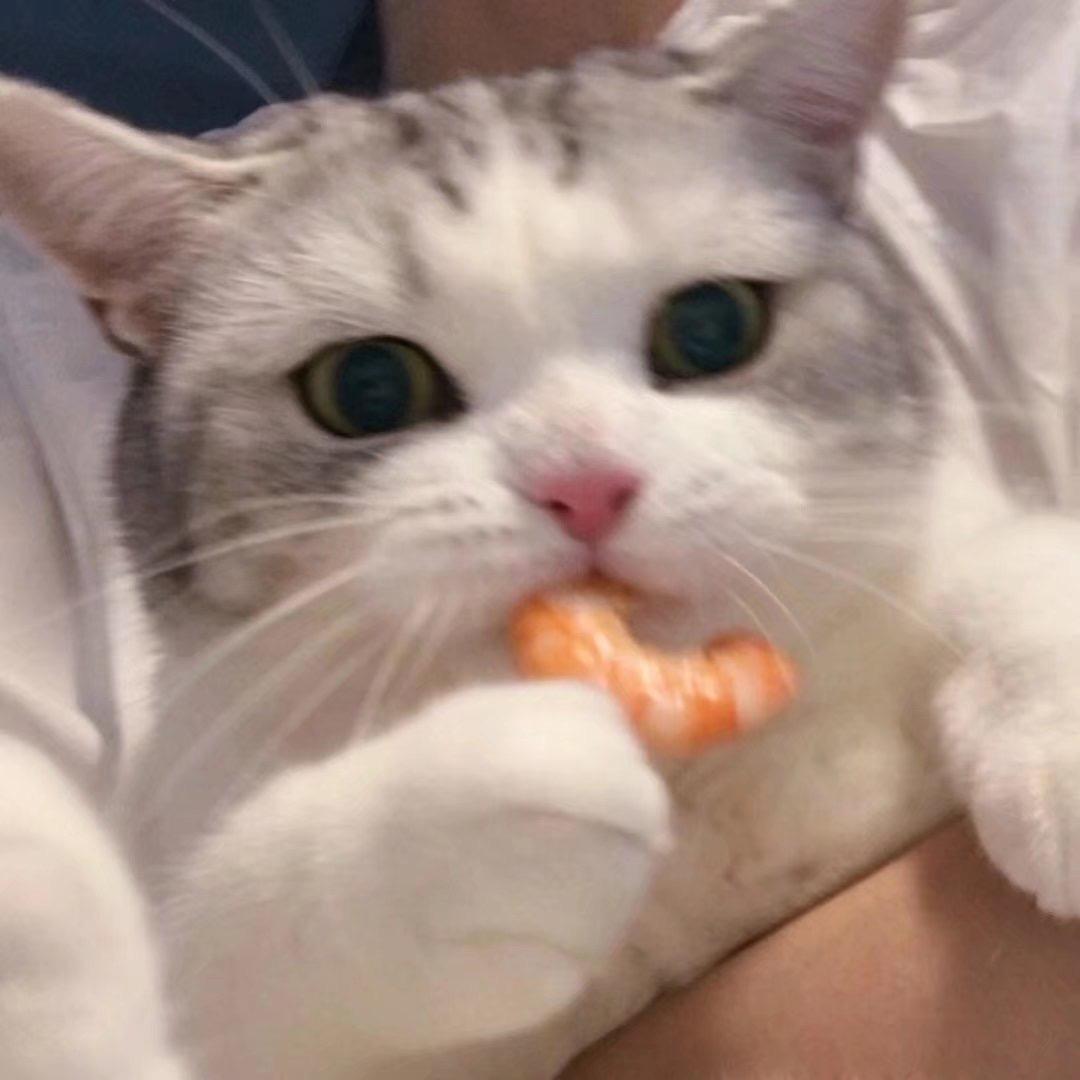 JQhsande