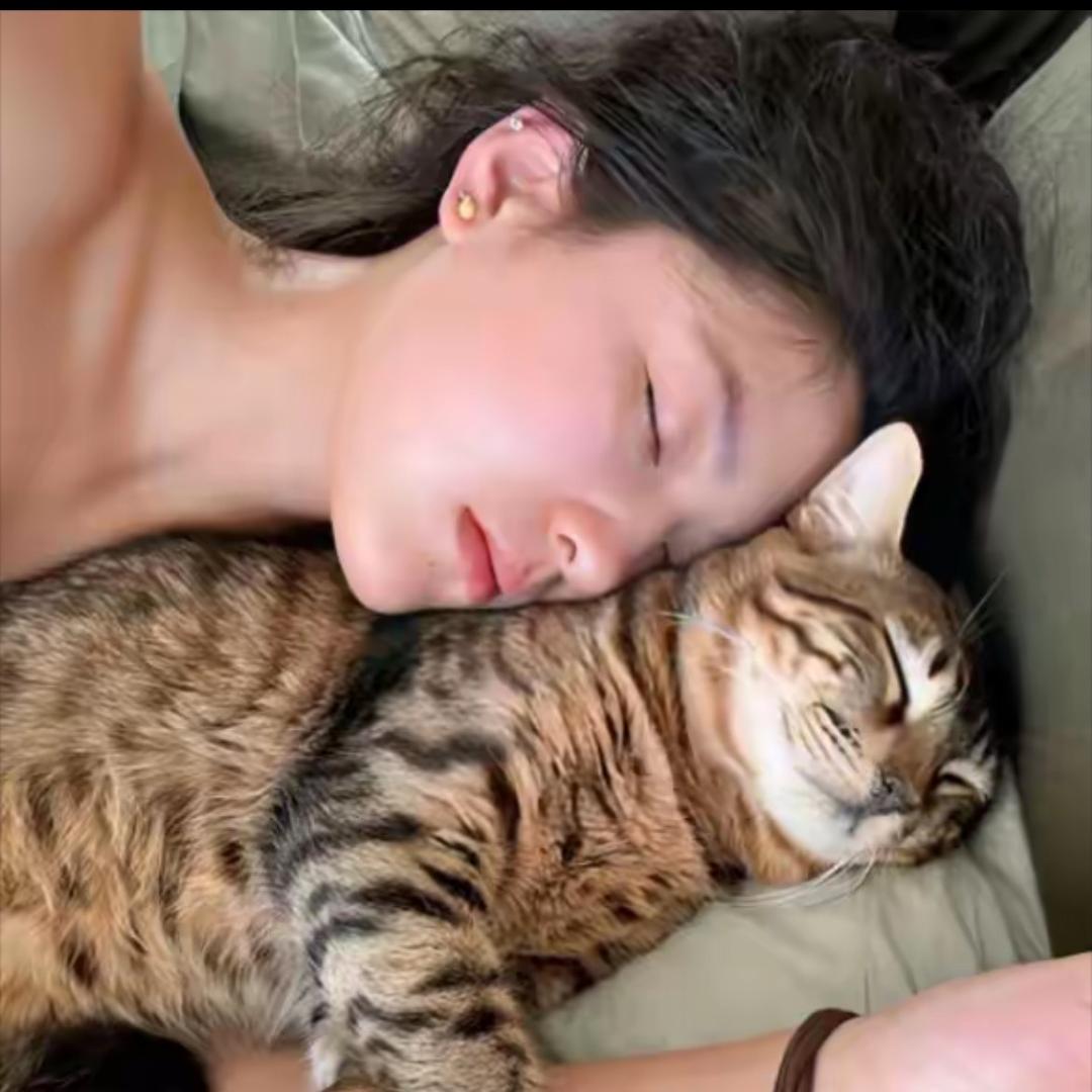 A不吃香菜