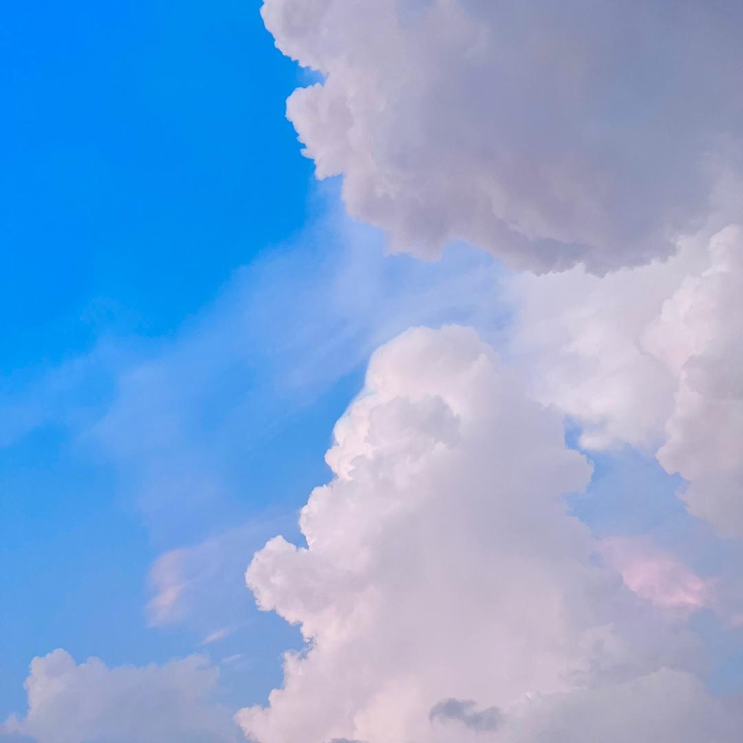 呆子，还我辣条