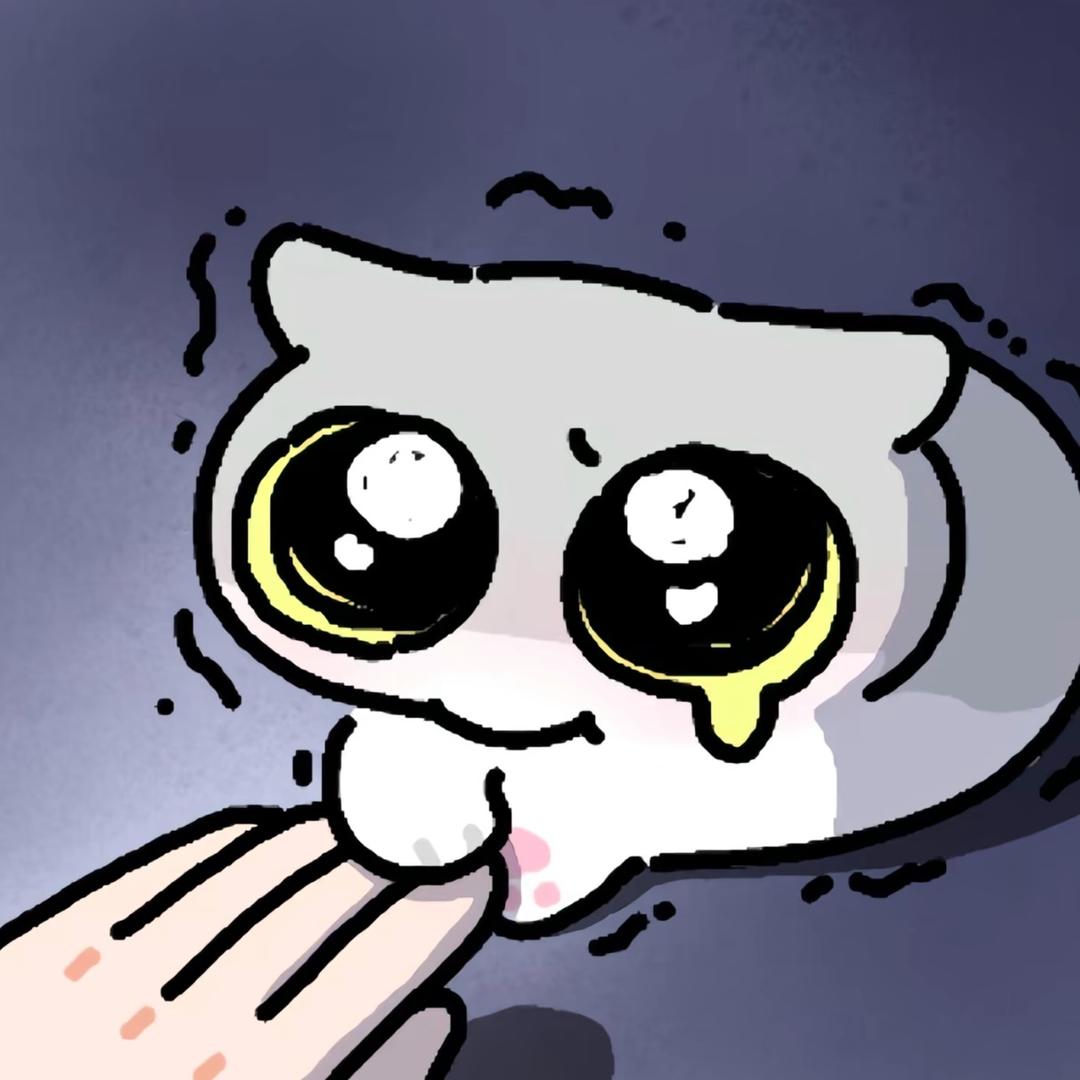 唯一照片已被猫叼走