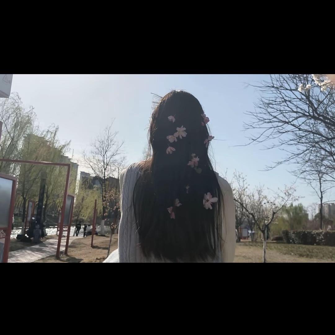 人生若只如初见