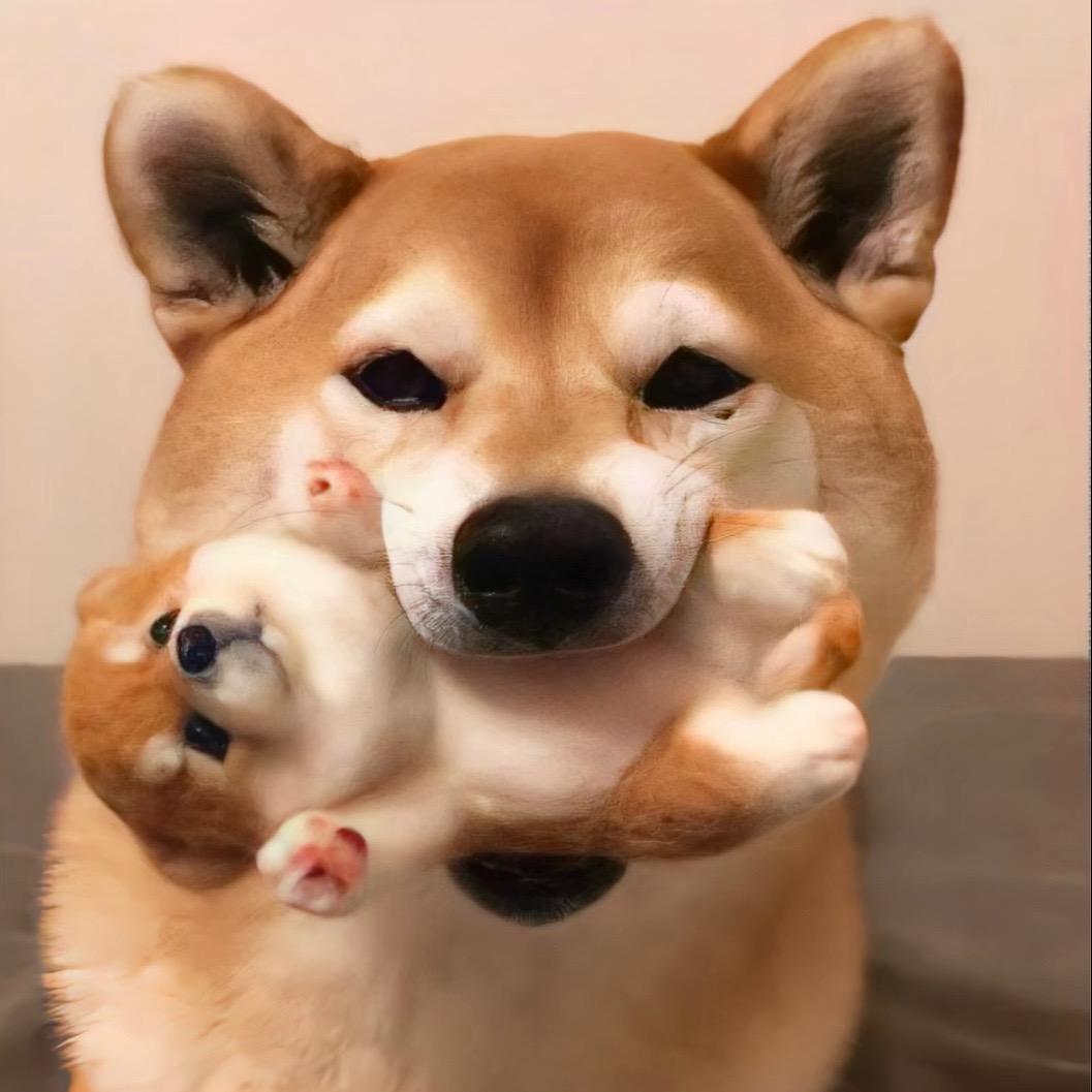 金航