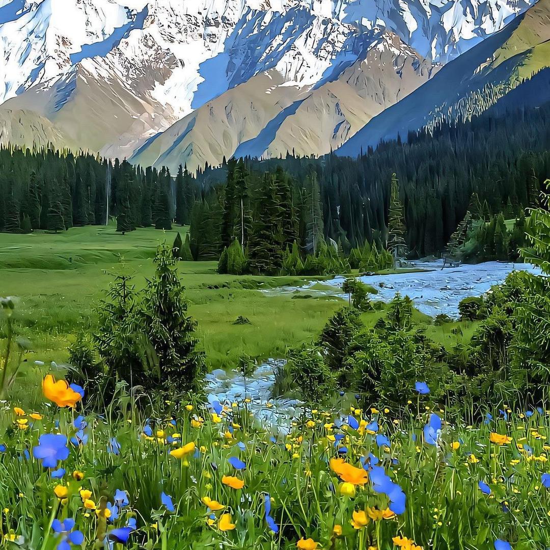 山的那边、海的那边⛰️