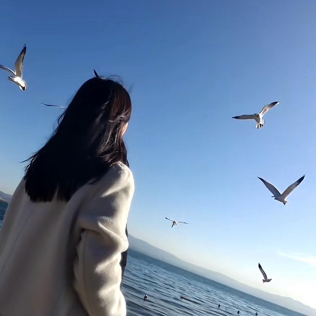 柒月