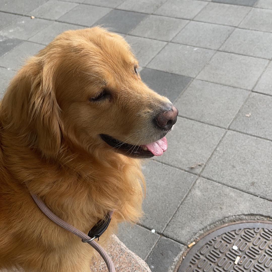 天道酬勤心向善