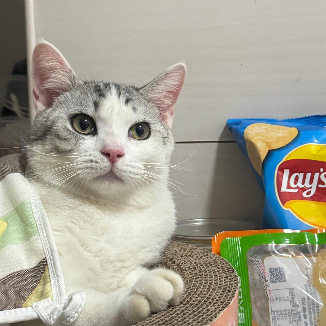 牛油果拌火鸡面