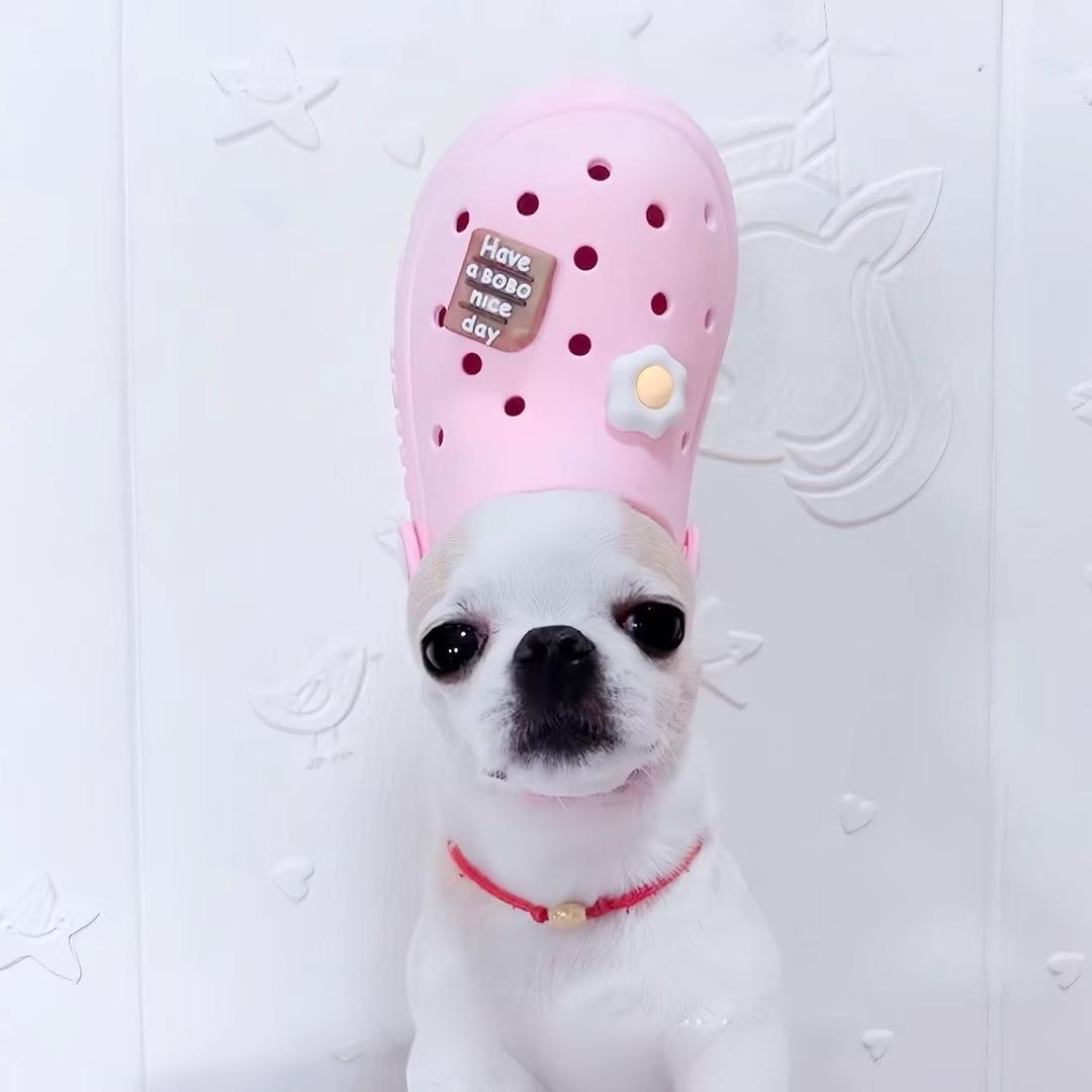 橘子