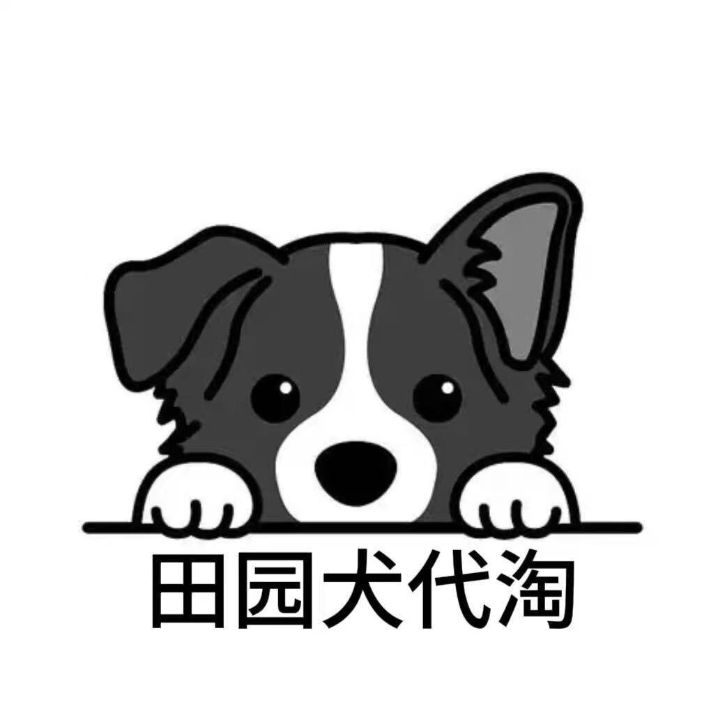 天天狗市拍拍拍 中华田园犬