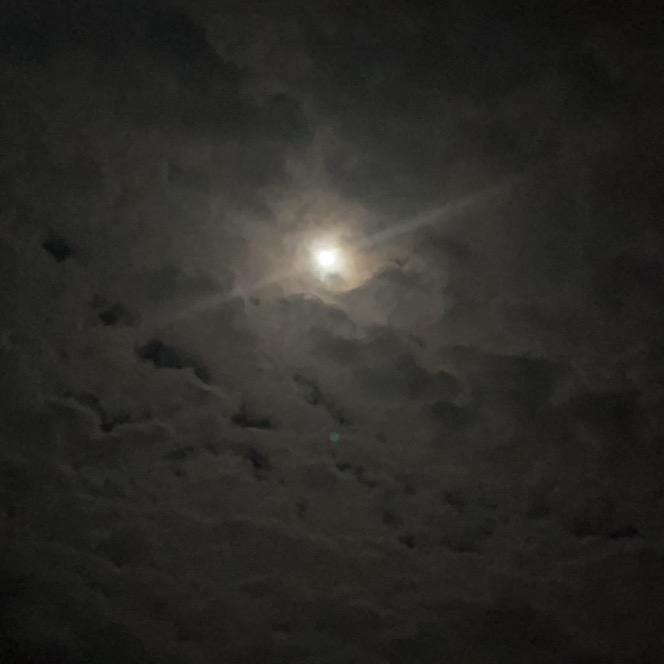 太凑看看我的肌肉拉着我