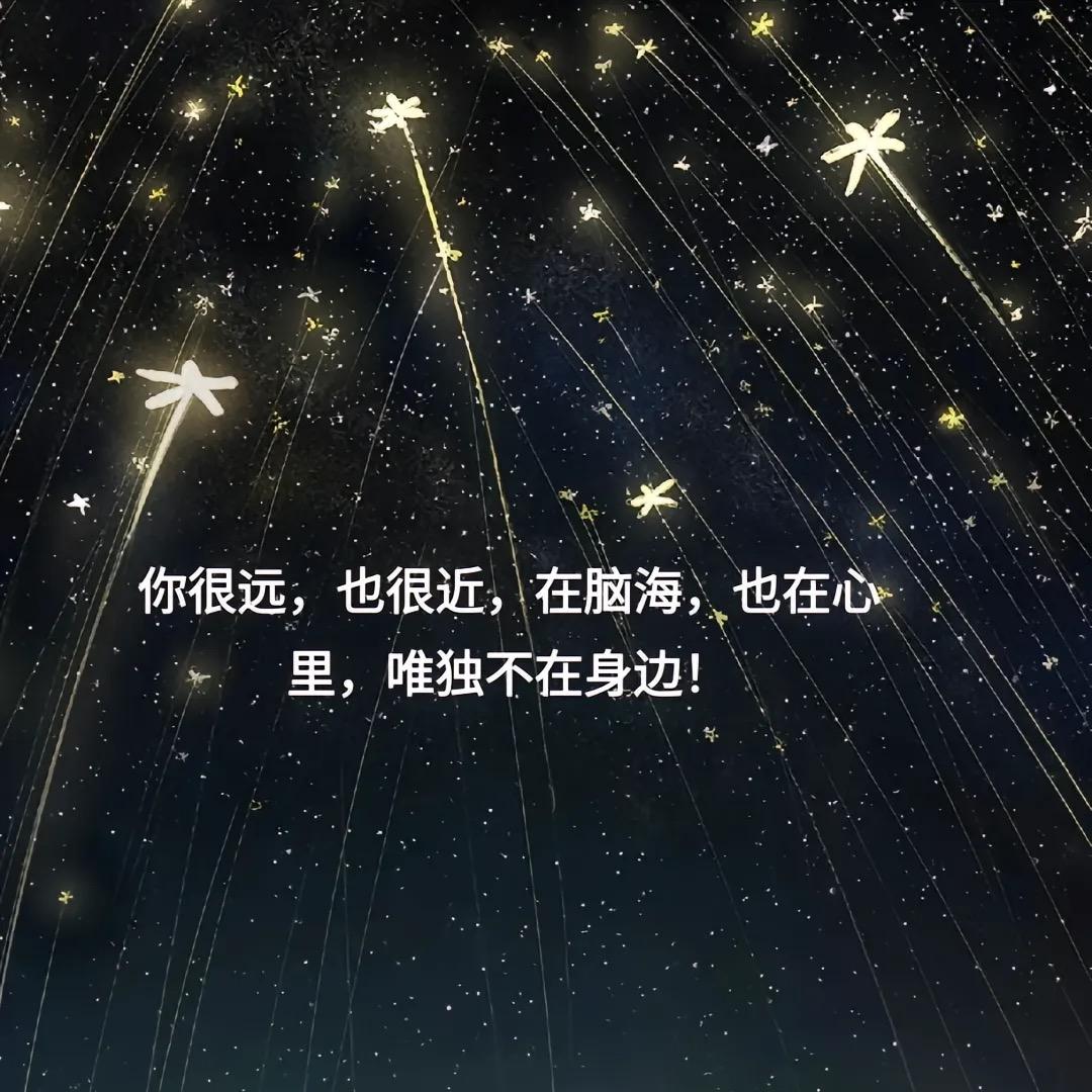 🌈🌈片片相思赋予谁🇨🇳