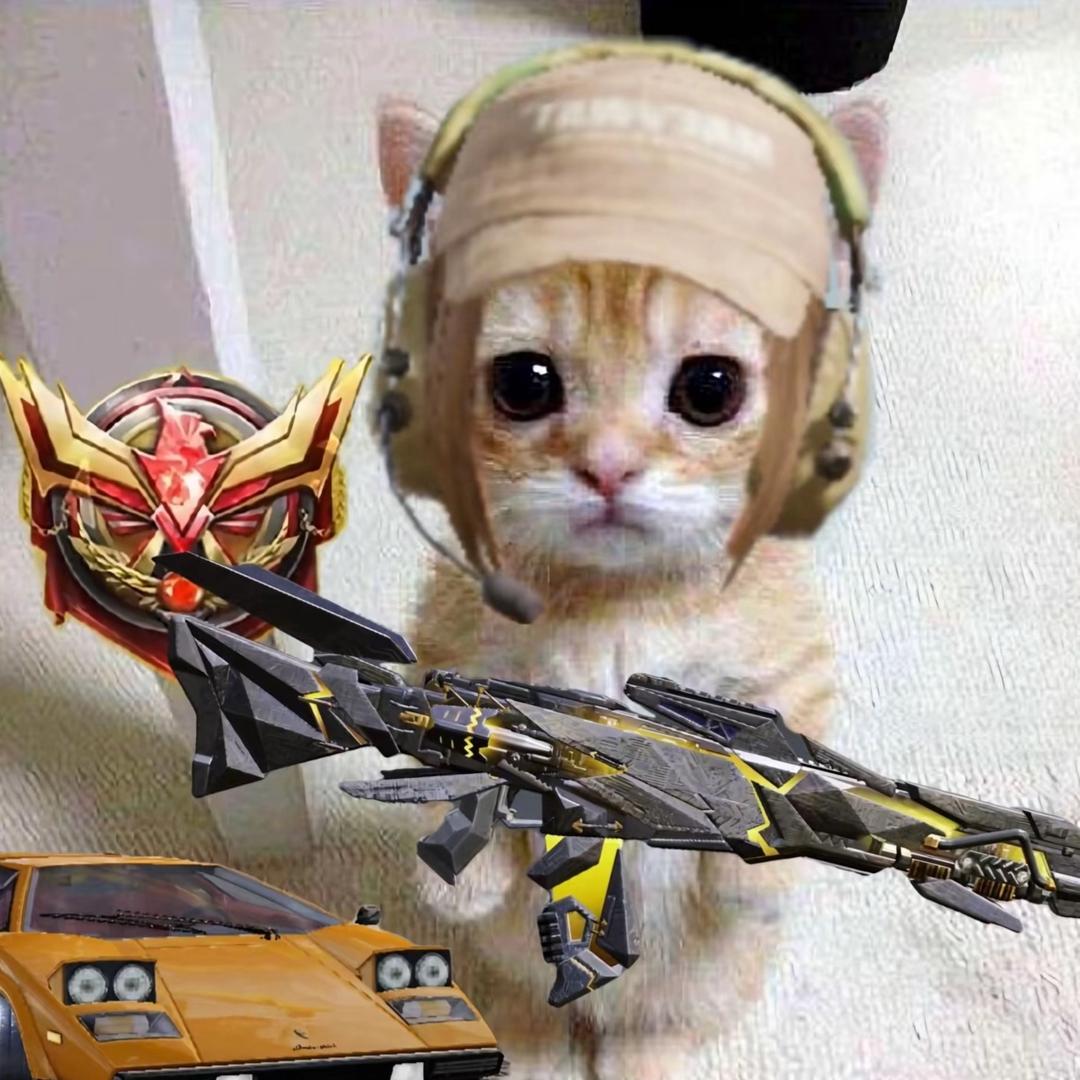 》