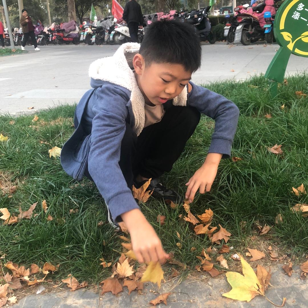 🈶️你相伴
