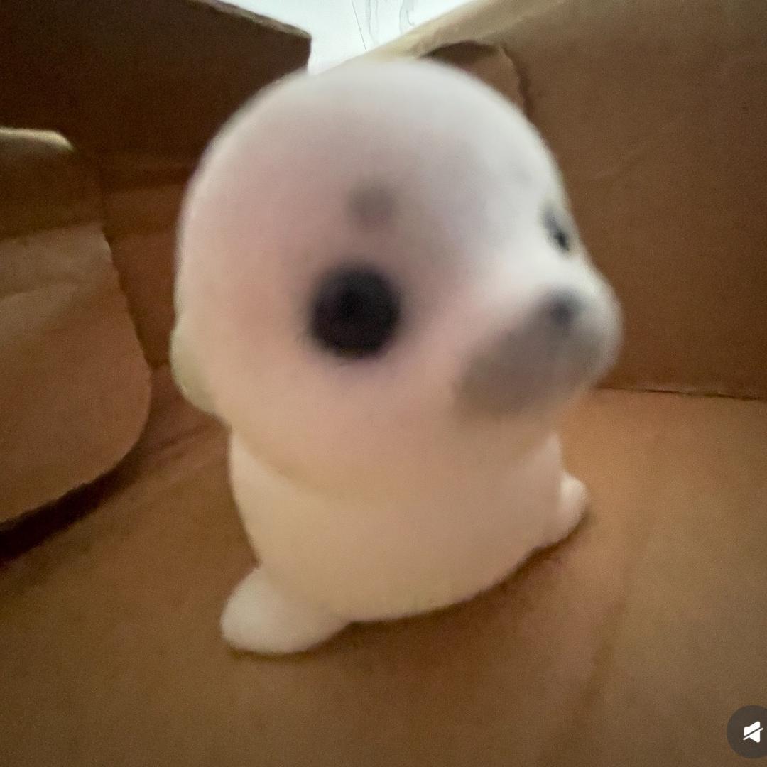 怀月聆