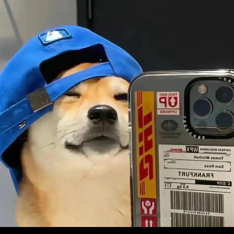 小二儿丶