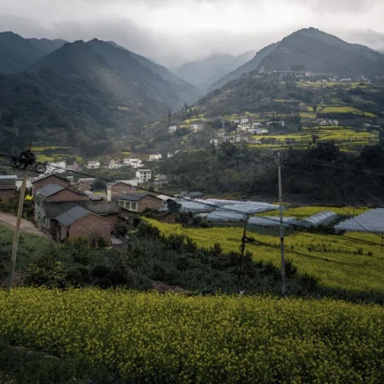 大张户外贸易商行