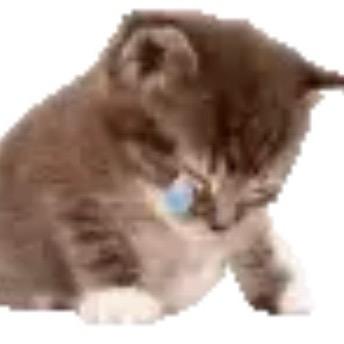 Pg12138