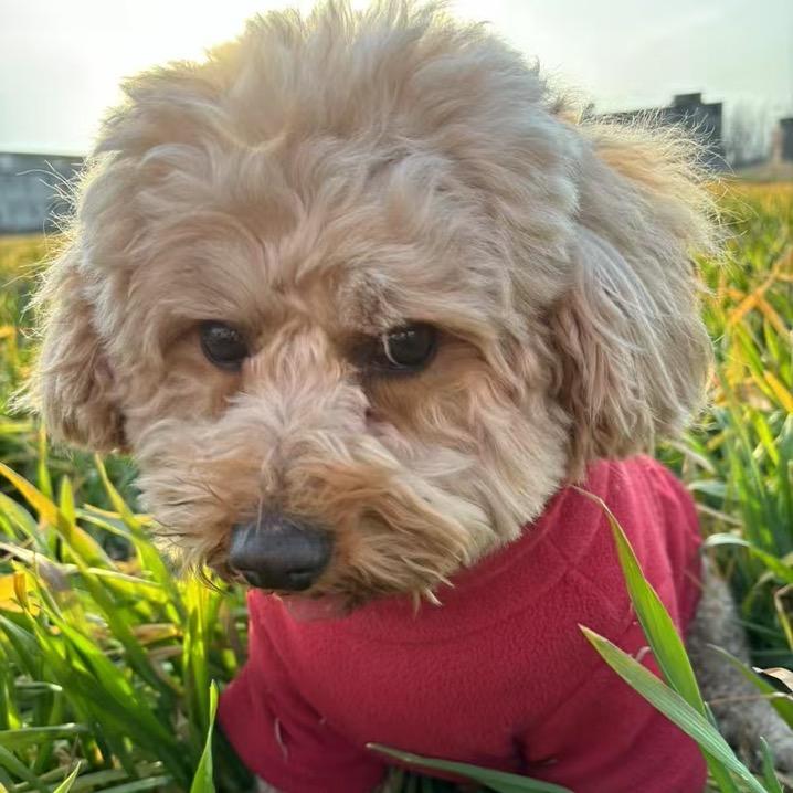 顺其自然吧少年