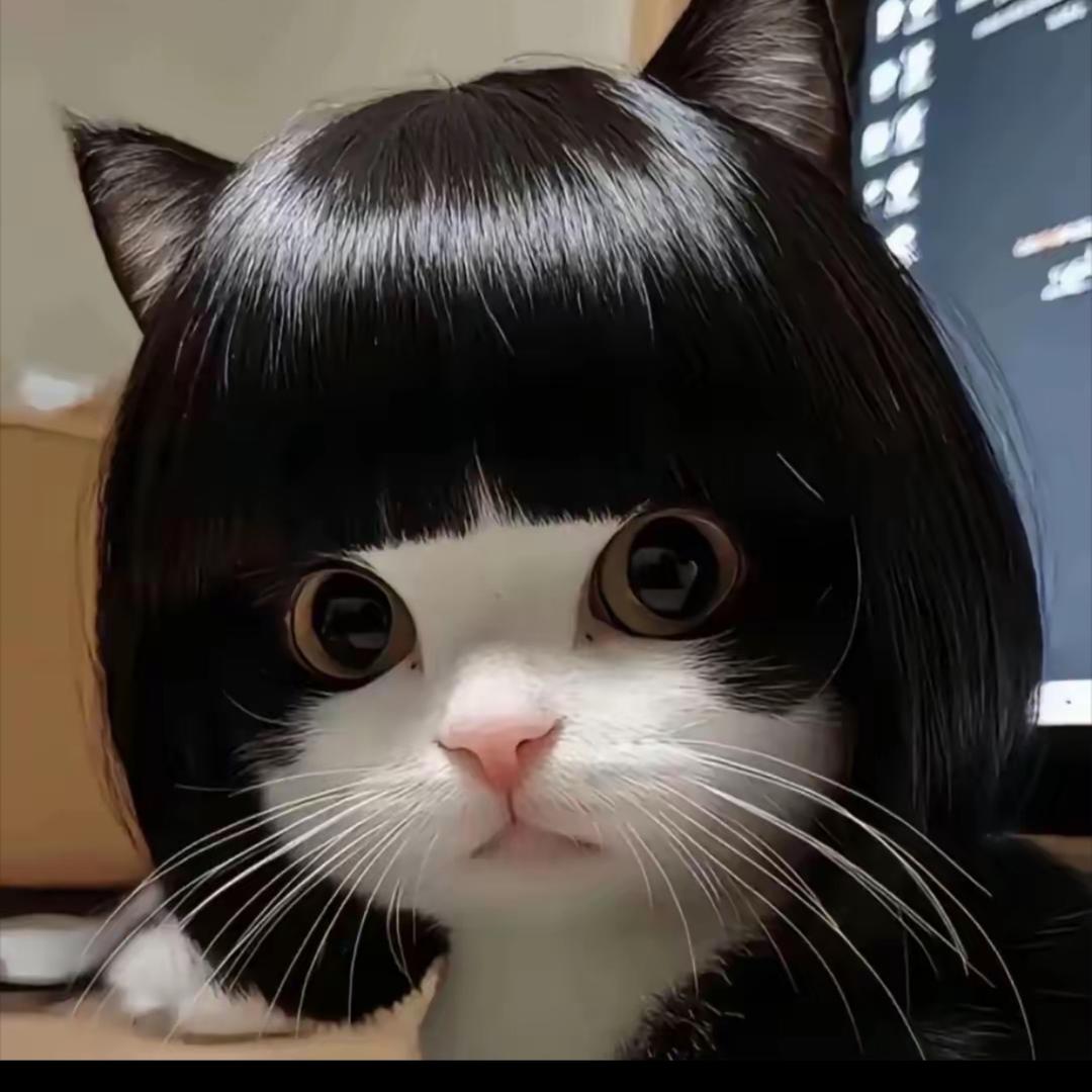 项钱进💰