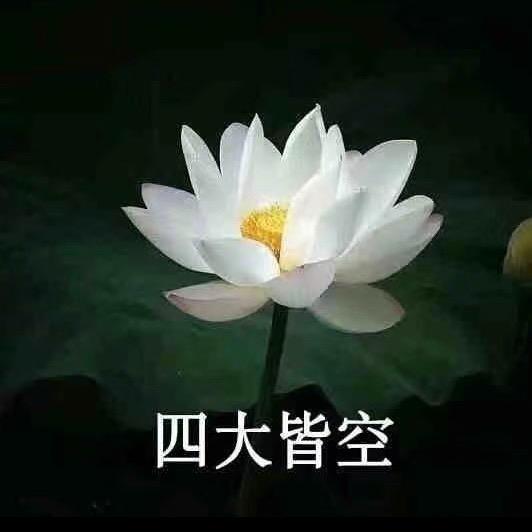 廾匸0709