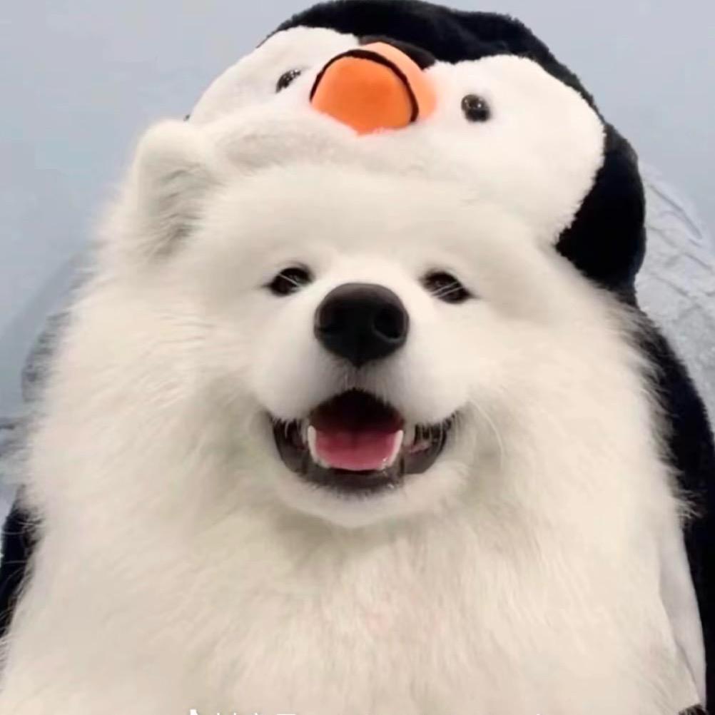 小坦克是萨摩