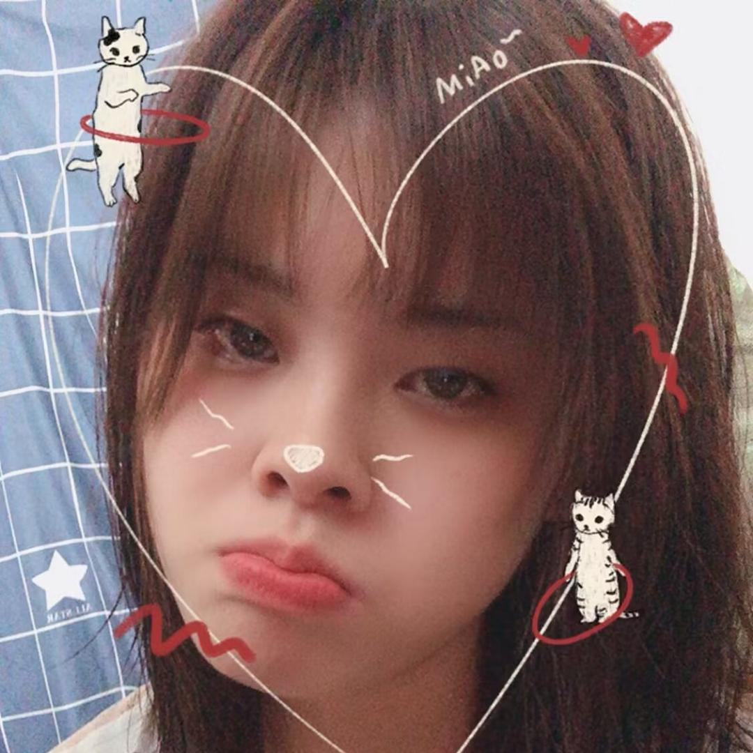 ✨胖胖🐱