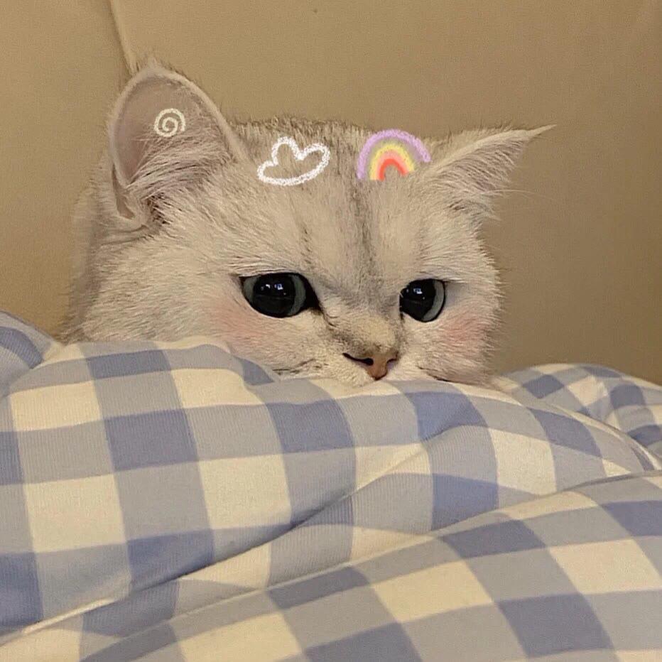 东gg