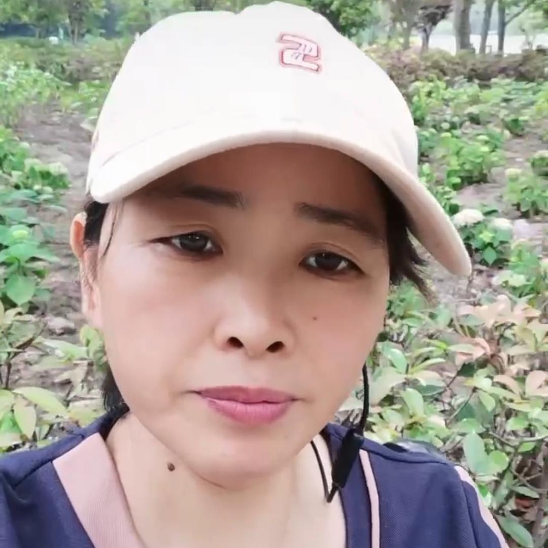 伊人忘忧