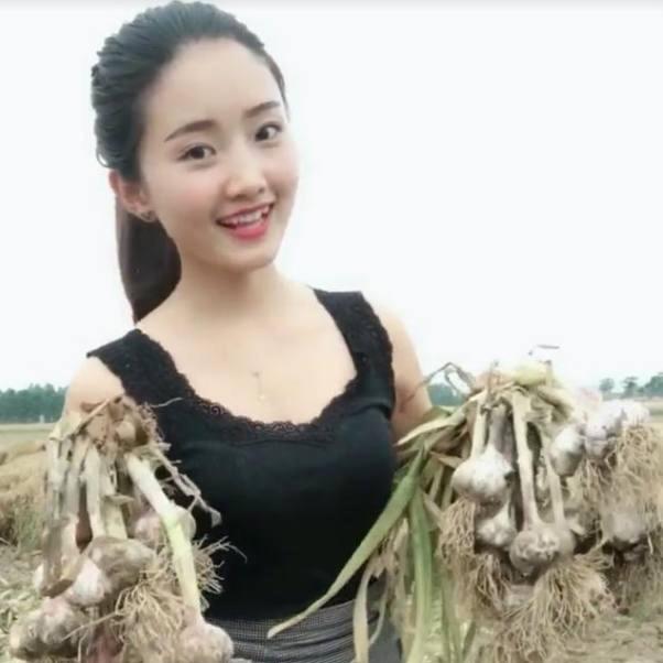 禾旭皮带输送机，软管吸粮机