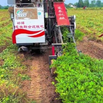 专业全国跨区花生联合收获机团队