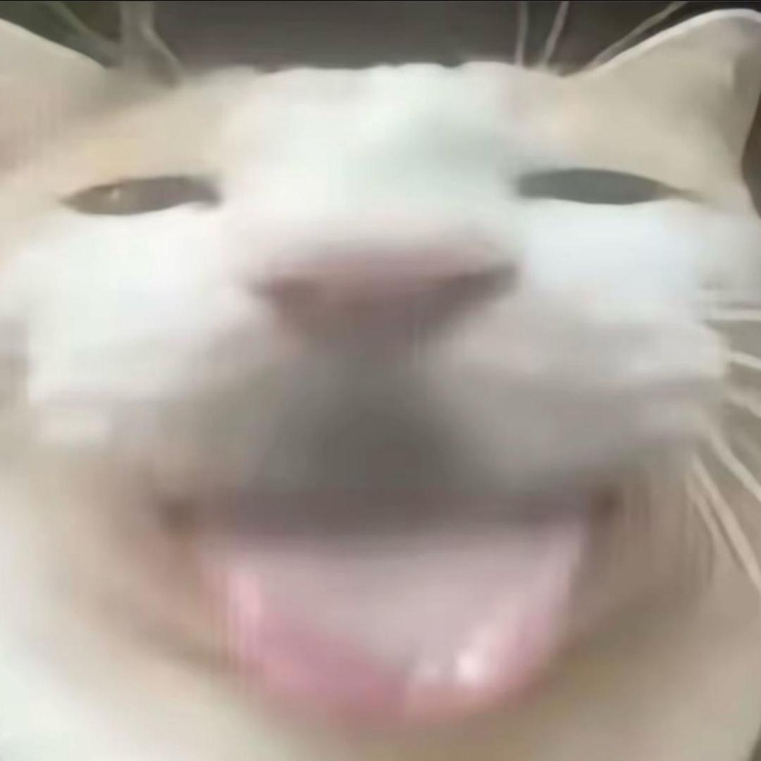 十一